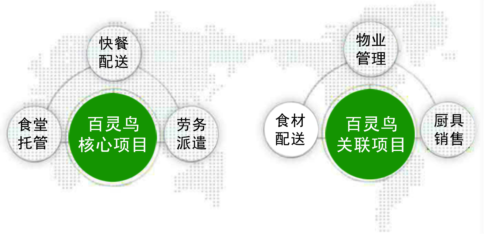 替換“業務范圍”欄目內“經營項目“中的文字.jpg
